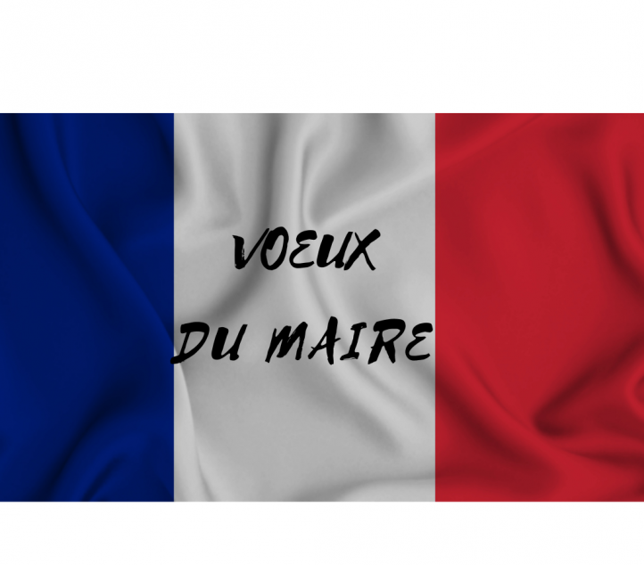 Vœux à la population 16/01/2025