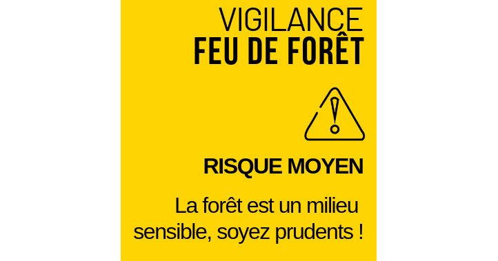 Vigilance JAUNE Feux de Forêt en Gironde