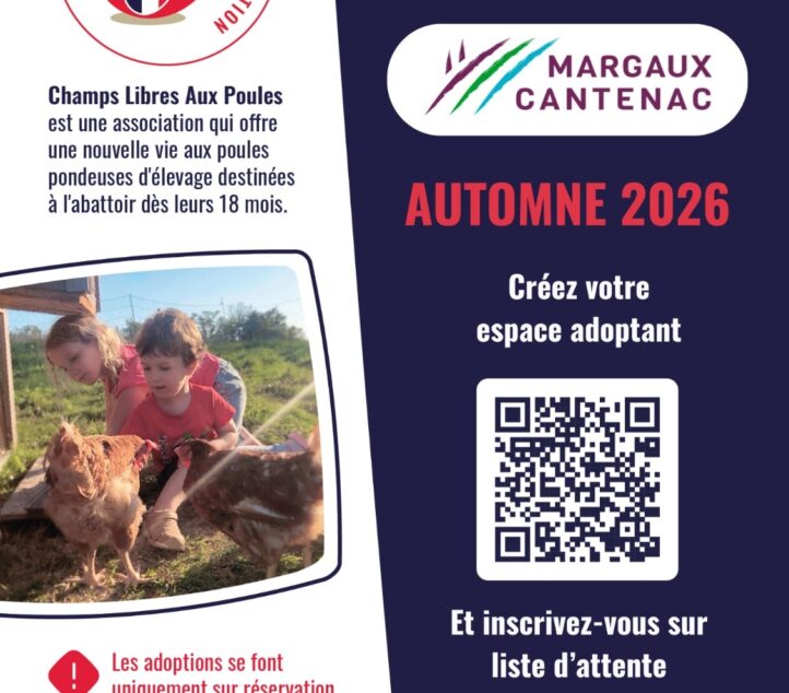Adoptez des poules