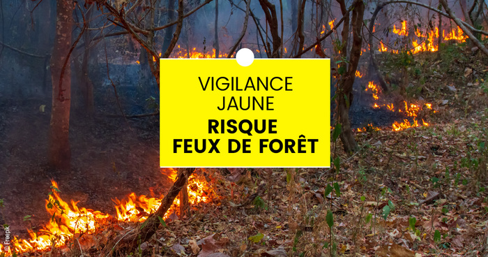 Arrêté préfectoral – Vigilance jaune feux forêt du 07/09/2026