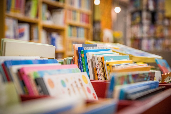 La bibliothèque célèbre les arts et la culture le 07/11/2026